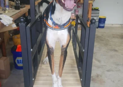 Slat mills are great for exercising your high-energy pooch