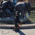 Dog Day at the Dallas Zoo