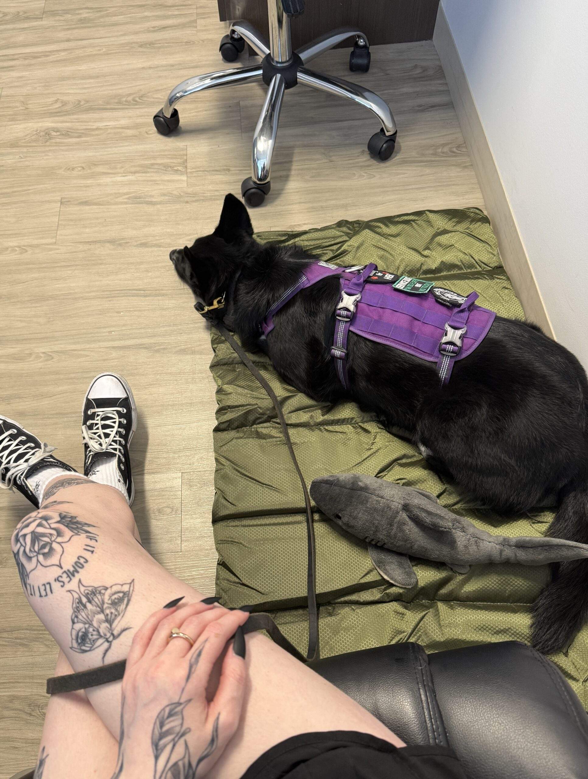 Calypso goes everywhere with Abbi, ready to help any time.