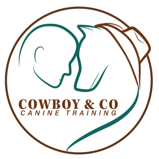 Cowboy & Co Canine Training Logo